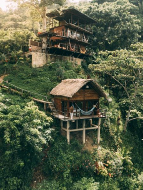 Paraiso Ahimsa